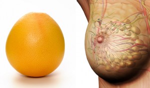 06-Grapefruit-BreastsFoods-That-Look-Like-Body-Parts-1-300x177